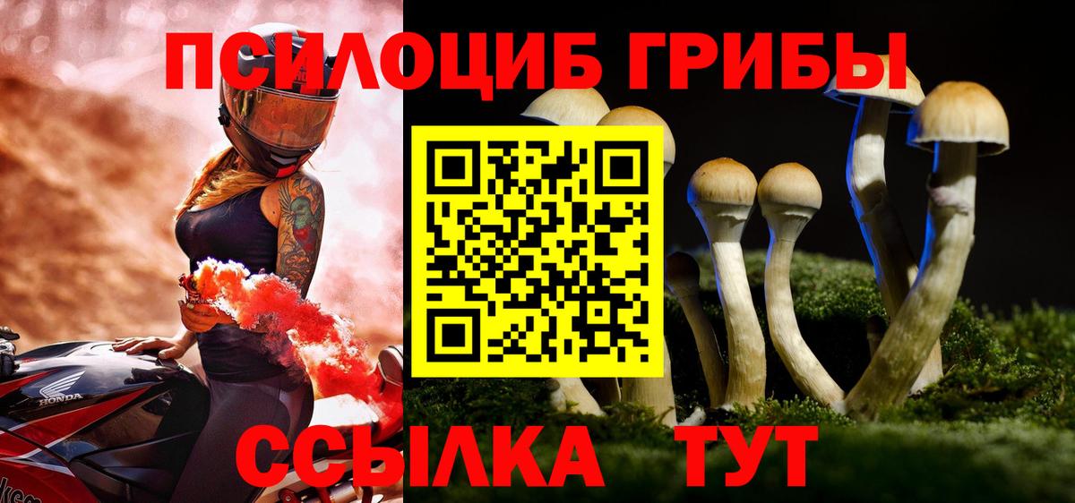 Галлюциногенные грибы GOLDEN TEACHER  Вход с VPN  Боровичи 